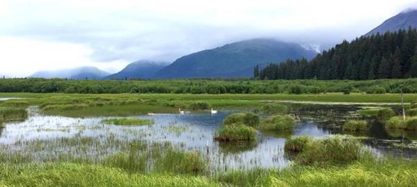 Arctic Paradise B&B