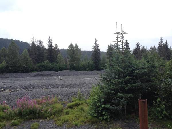 Glacier Creek Cabins
