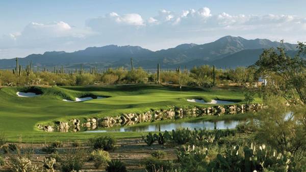 The Ritz-Carlton Dove Mountain