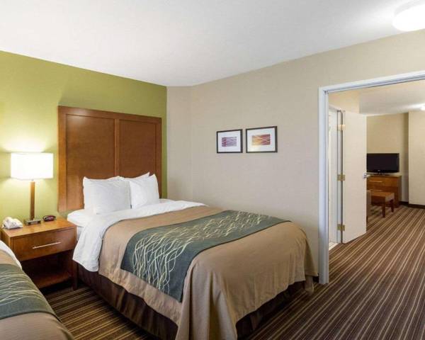 Comfort Inn & Suites Fayetteville-University Area