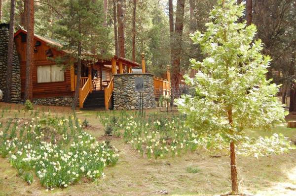 52 Tuolumne Meadow