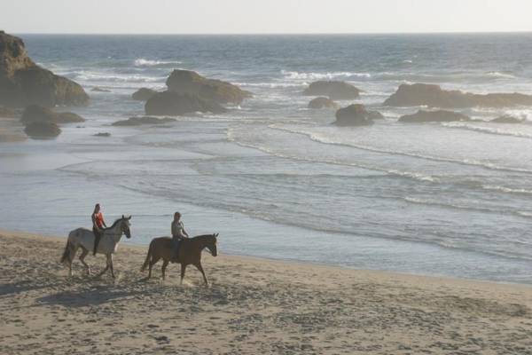 Surf and Sand Lodge