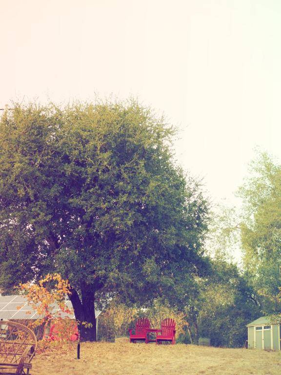 Mine and Farm The Inn at Guerneville CA