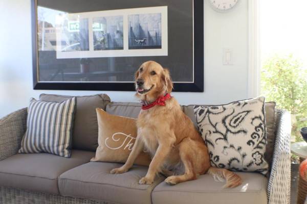 Seaside Laguna Inn & Suites