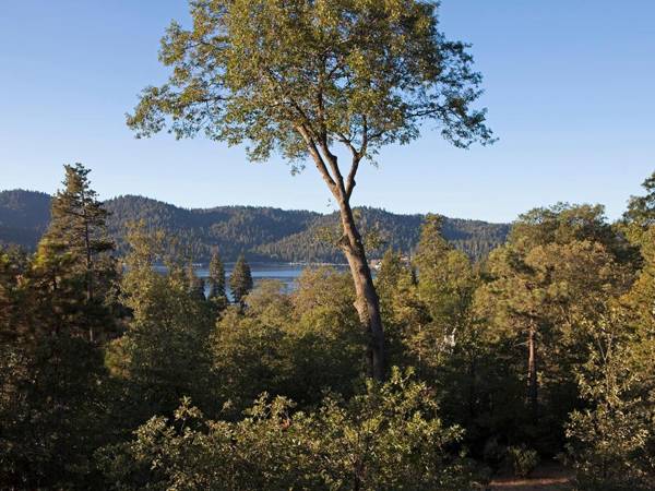 UCLA Lake Arrowhead Lodge