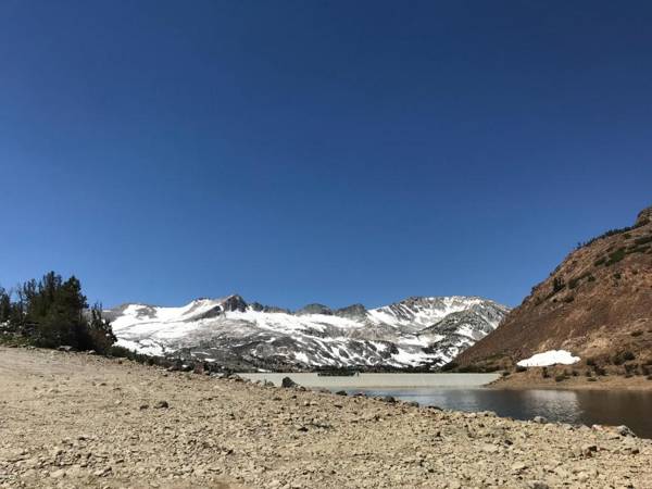 Mountainback #33 Den