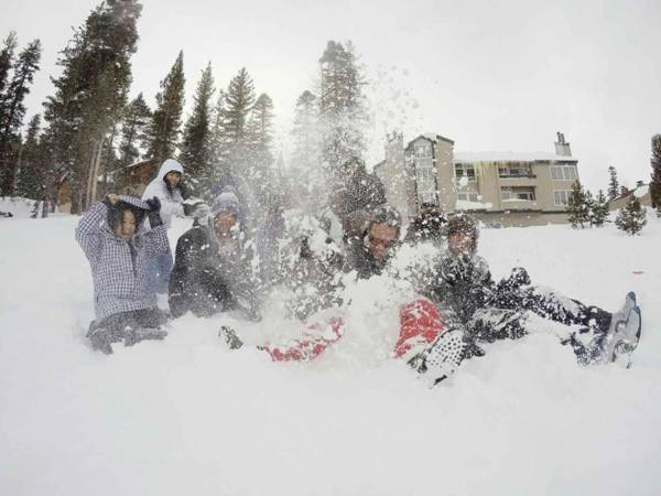 Mountainback #49 Den