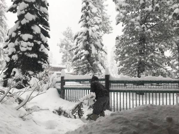 Mountainback #53 Loft