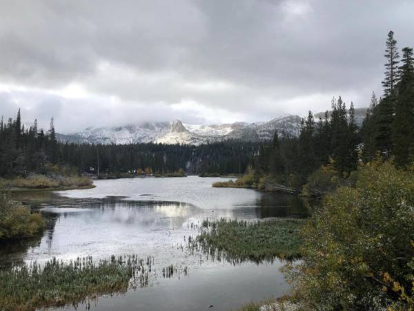 Mammoth Ski & Racquet Club #94