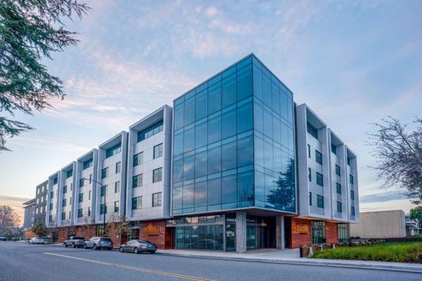 Shashi Hotel Mountain View an Urban Resort