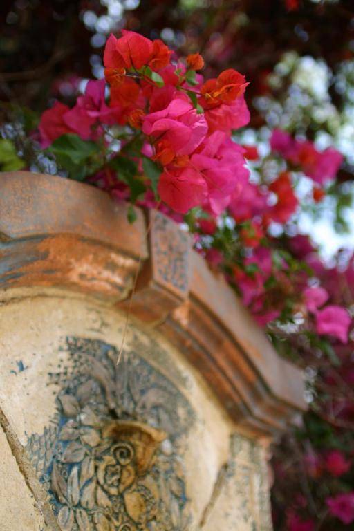 The Patrician Hollywood Universal