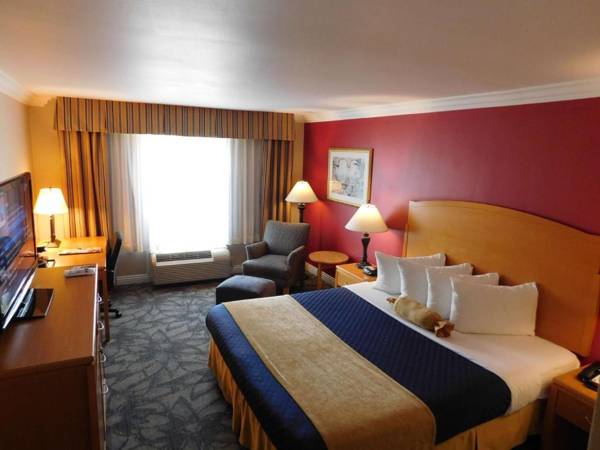 Best Western Plus - Anaheim Orange County Hotel