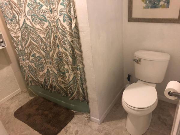 WHOLE Family - WholeVille