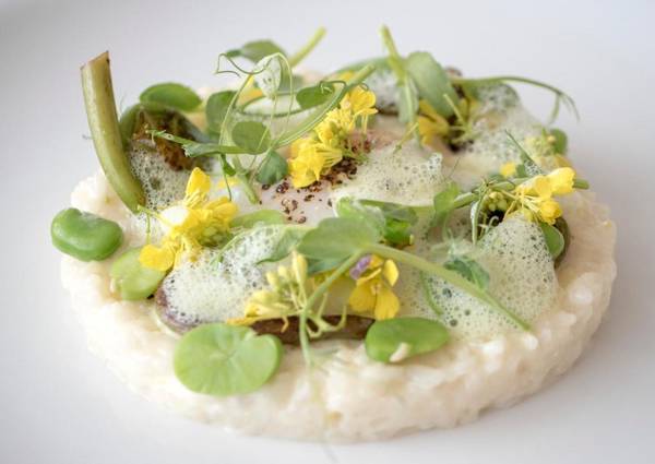 InterContinental San Francisco an IHG Hotel