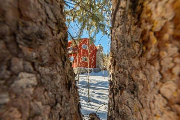 Enjoy the Creek Surrounded by High Mountain Peaks - Creekside Mountain Cabin