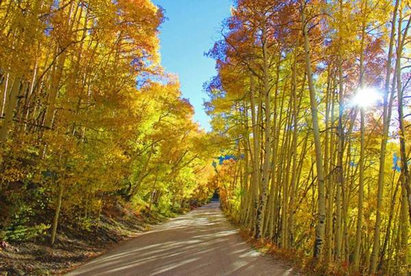 Crossroads Townhome 681B