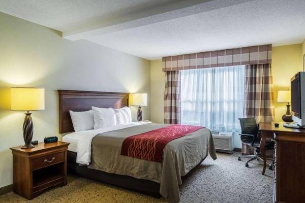 Comfort Inn & Suites Dover