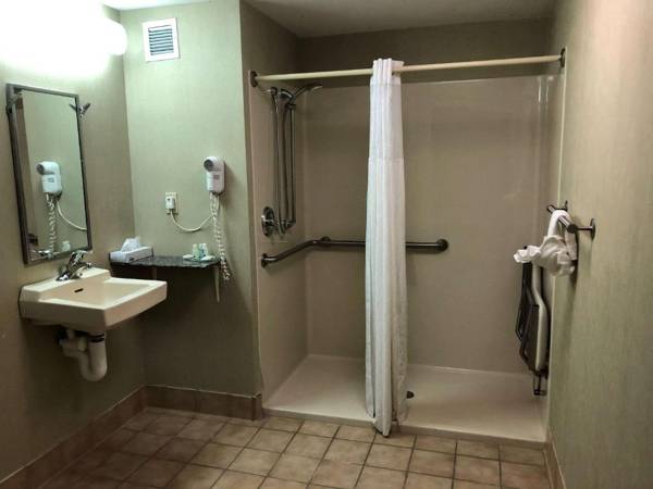 Quality Inn & Suites Skyways