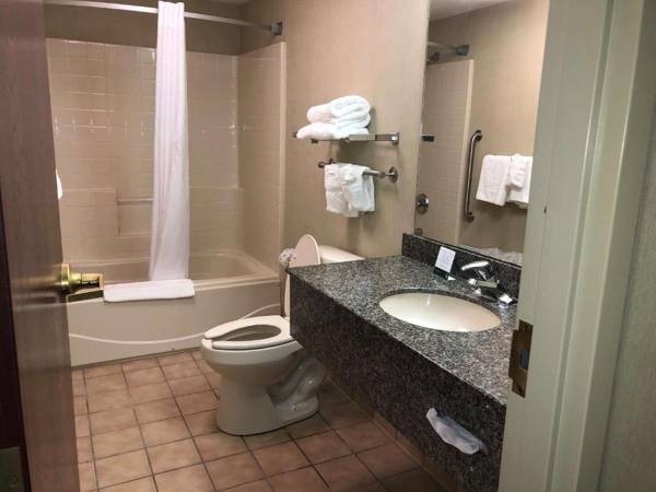 Quality Inn & Suites Skyways