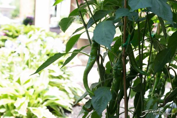 Hilton Wilmington/Christiana