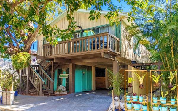 AMI Tree House