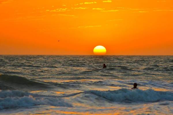 The Anna Maria Island Beach Palms 6B