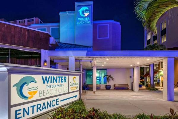 Winter the Dolphins Beach Club Ascend Hotel Collection