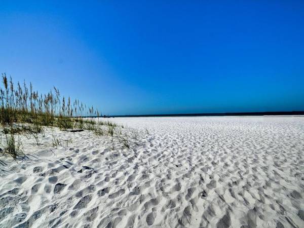 Palm Place 4- Royal Palm 621