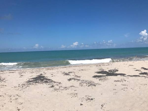Seahorse Beach Bungalows