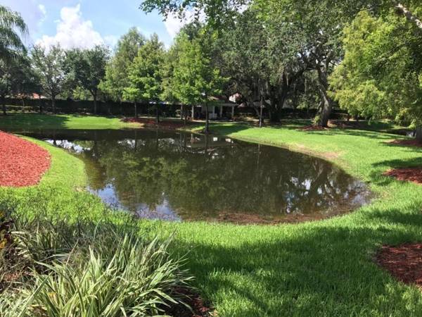 Lucaya Village Resort By Viva Homes Intl