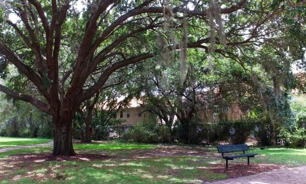 Four Bedrooms TownHome 5161