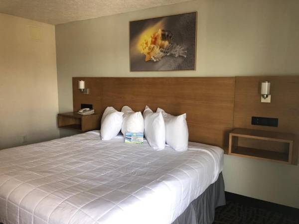 Beachcomber by the Sea