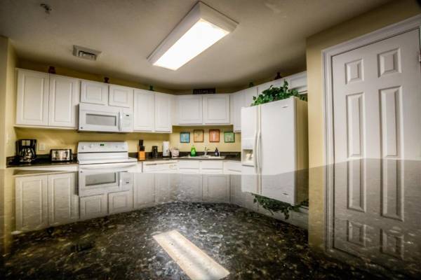 Calypso 1-209 By ZIA VR