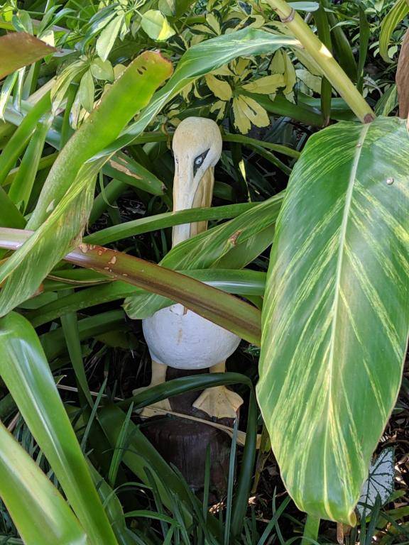 Tropical Villas Of Venice Beach