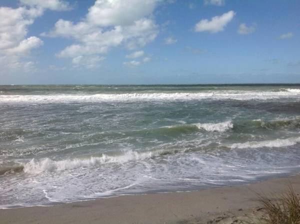 Venice Villas * Poolside #41A