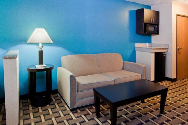 Holiday Inn Express Hotel & Suites Buford NE - Lake Lanier Area an IHG Hotel