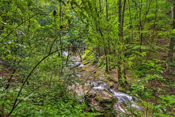 Comfy Jasper Main Unit Walk to On-Site Waterfall!