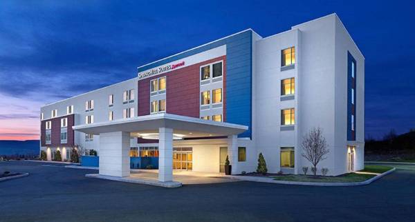 SpringHill Suites by Marriott Chattanooga South/Ringgold