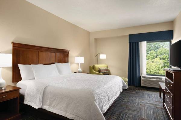 Hampton Inn Atlanta-Stone Mountain