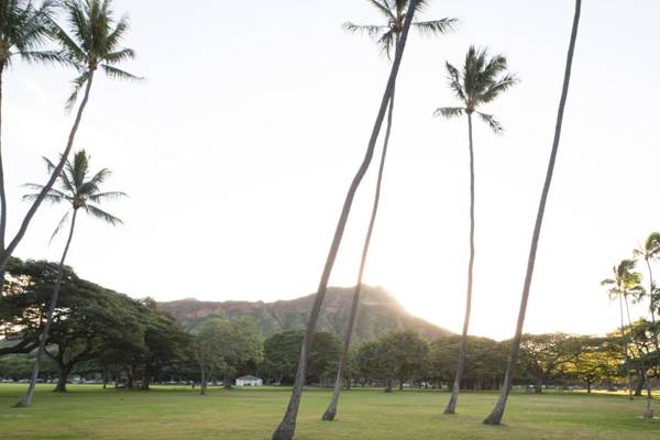 Lotus Honolulu at Diamond Head