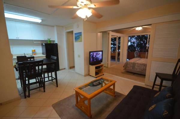 Hawaiian King 501 Studio Pool and BBQ Grill Sleeps 4