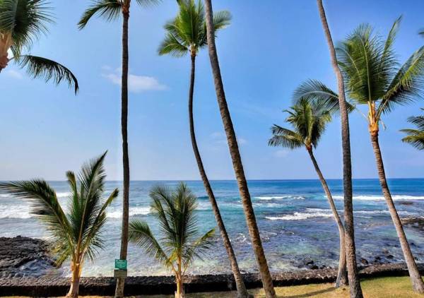 Kona Bali Kai by TS