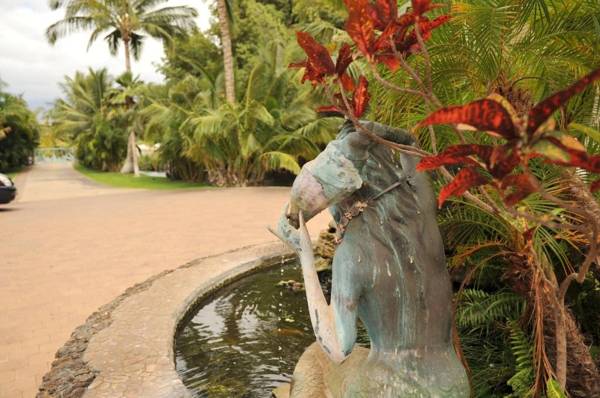 Aloha AKU - Bamboo 2