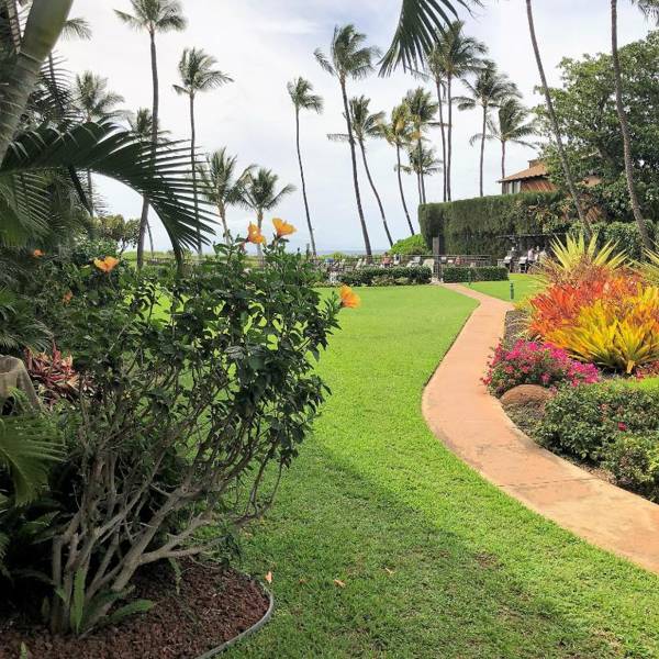 Aloha WAI