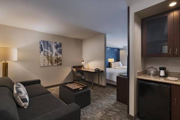 SpringHill Suites Boise West/Eagle