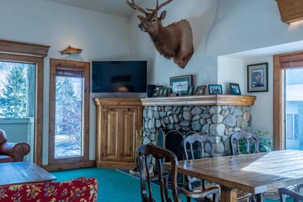 Greyhawk Condo 10 - Great Location Close to Bald Mt Hiking and Skiing