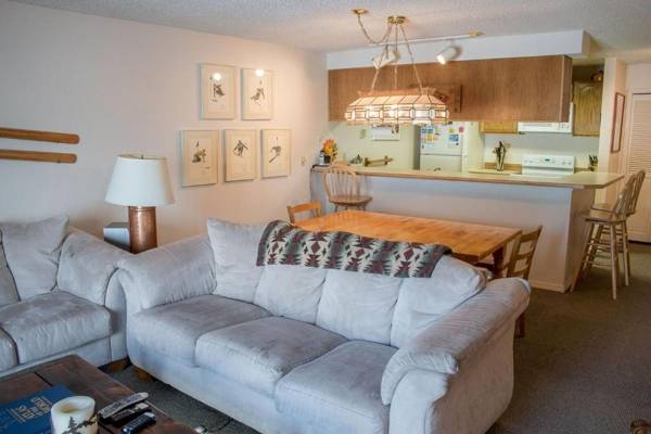 Habitat Condo A7 - Easy Walk to Downtown Ketchum & Hot Tub Onsite