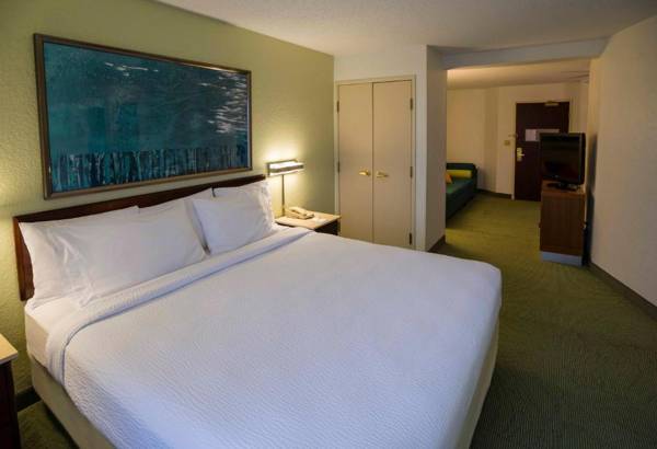 SpringHill Suites Chicago Bolingbrook