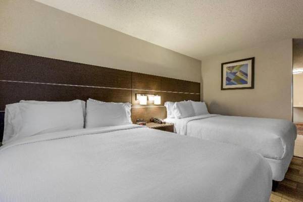 Holiday Inn Express & Suites Chicago West - St Cha