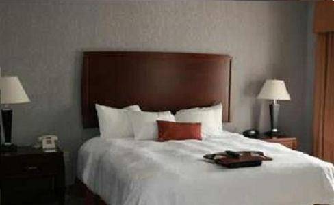 Hampton Inn and Suites Indianapolis/Brownsburg